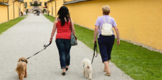 Frauen gehen mit ihrem Hund spazieren.