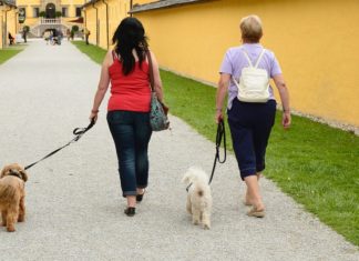 Frauen gehen mit ihrem Hund spazieren.