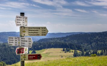 Besucherschild im Schwarzwald mit Wanderwegen