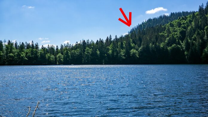 Ein roter Pfeil markiert eine Stelle in einem grünen, dichten Wald am Rande eines schönen blauen Sees vor einer malerischen Kulisse mit blauem Himmel.