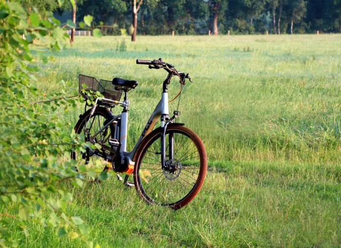 Fahrrad auf Wiese
