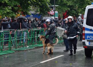 Polizeihund-Einsatz auf Demo
