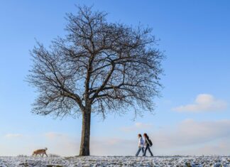 Frostlandschaft mit Spaziergänger.