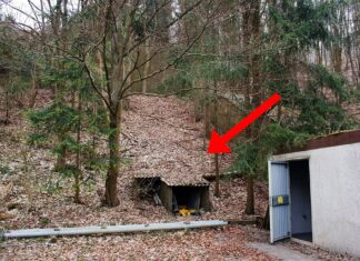 Versteckter Atombunker in Wald