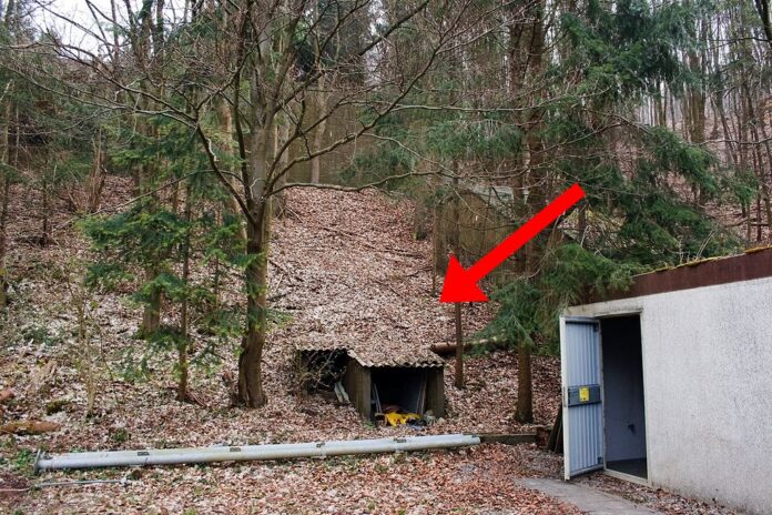 Versteckter Atombunker in Wald