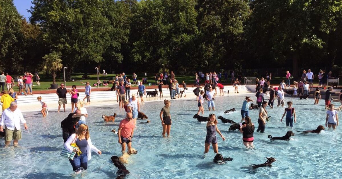 Kuriose-Aktion-Karlsruher-Freibad-er-ffnet-jetzt-nur-f-r-Hunde