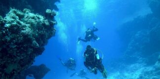 Unterwasser Welt im Meer mit Taucher