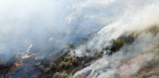 Waldbrand mit Rauchwolken