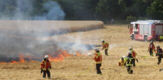 Flächenbrand auf Feld