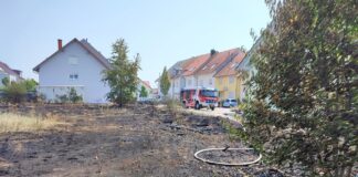 Flächenbrand an Wohngebiet