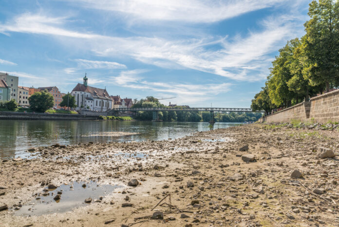 Die Folgen der HItze und Dürre werden mit dem Niedrigwasser am Rhein sichtbar. Der Sonnenschein und strahlend blaue Himmel täuschen über die gravierenden Folgen der Trockenheit hinweg. Gerade den am Ufer stehenden Bäumen droht wegen des fehlenden Regens großer Schaden.
