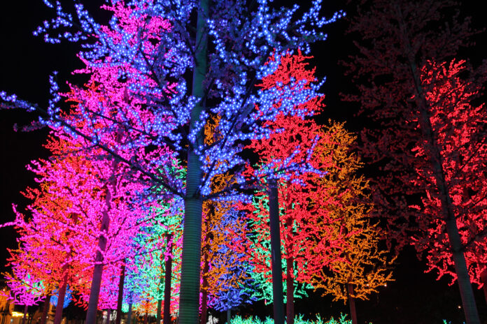 Ein Wald mit bunt beleuchteten Bäumen. Der Christmas Garden findet in Karlsruhe auf dem Gelände des Zoos statt – hier können die Besucher verschiedene Lichter und Lightshows anschauen, wenn sie dem Rundweg folgen.