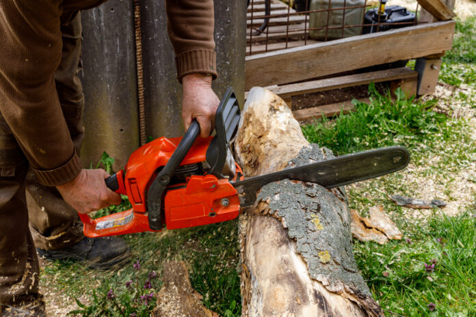 Kettensäge sägt einen Baumstamm.