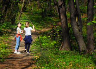 Zwei Mädchen sammeln bei einem Waldspaziergang Äste.