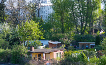 Kleingartensiedlung mit Häuschen.