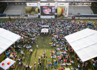 Menschen auf einem Open-Air-Festival