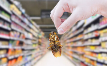 Insekt wird im Supermarkt gehalten