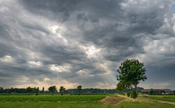 Wolkendecke über einem grünen Feld