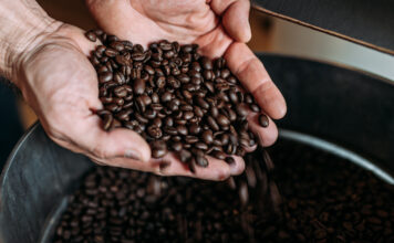 Kaffeebohnen werden in Händen gehalten.