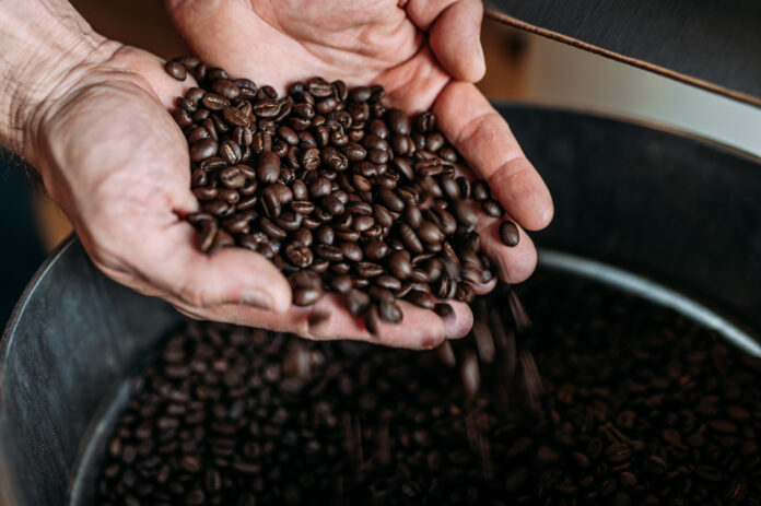 Kaffeebohnen werden in Händen gehalten.