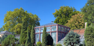 Der Botanische Garten Karlsruhe stellt eine malerische Kulisse dar.