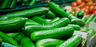 Ein Bild von frischen Salatgurken im Supermarkt.
