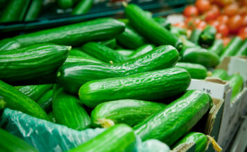 Ein Bild von frischen Salatgurken im Supermarkt.