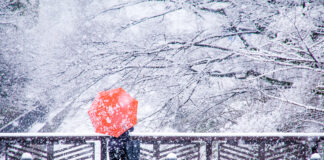 Eine Frau mit Regenschirm steht im Schnee.