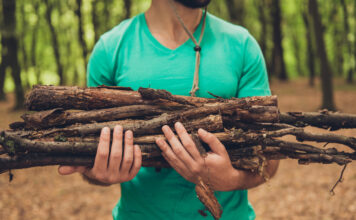 Ein Mensch sammelt Holz im Wald und trägt es.