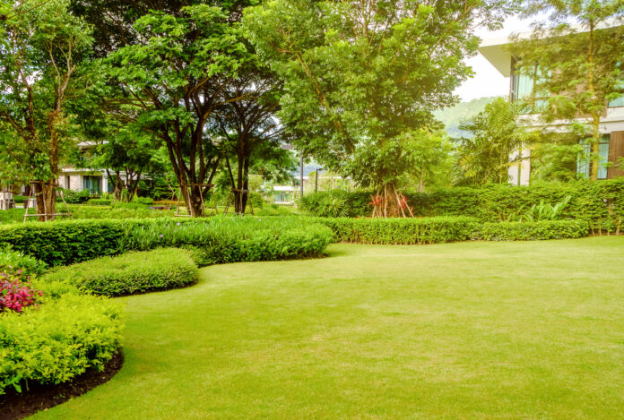Ein Garten mit einem grünen Rasen.