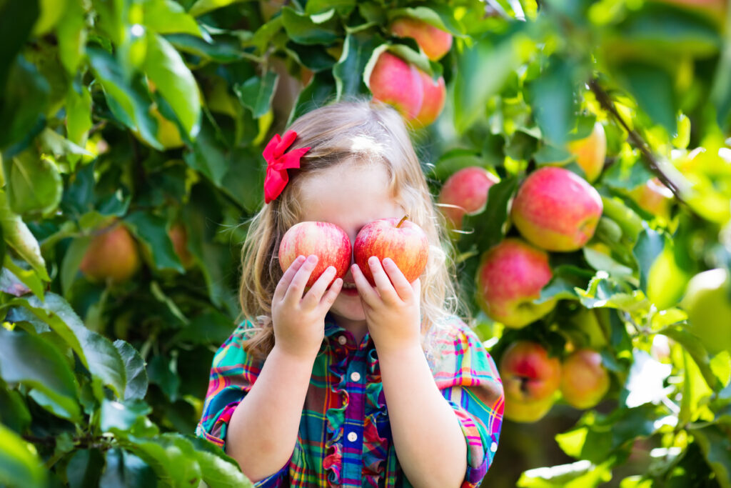 Hofläden bieten ein vielfältiges Angebot. Frisches Obst und Gemüse gibt es dort garantiert, aber auch Bio-Eier und Milchprodukte.