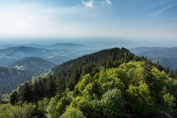 Blick auf den Schwarzwald.