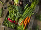 Saisonales Gemüse im Mai: Von Spargel bis Erbsen gibt es tolle Rezepte und Möglichkeiten, sich gesund und lecker zu ernähren.