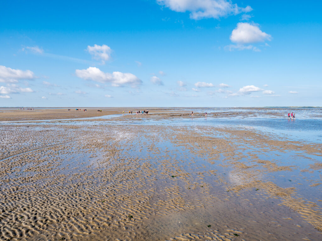 Am ostfriesischen Wattenmeer werden Wattwanderungen angeboten. Diese lassen sich auch mit einem Urlaub auf Norderney verbinden. 