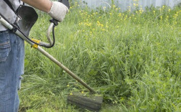 Ein Mann mäht mit der Sense das hohe Gras.