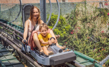 Im Schwarzwald gibt es den Hasenhorn-Coaster, eine Sommerrodelbahn in Todtnau.