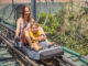 Im Schwarzwald gibt es den Hasenhorn-Coaster, eine Sommerrodelbahn in Todtnau.