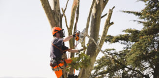 Ein Bauarbeiter fällt die Äste eines Baums in Sicherheitsbekleidung