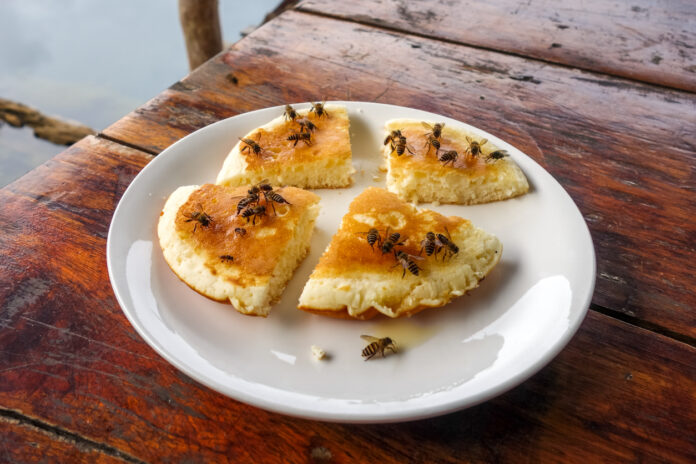 Unzählige Wespen tummeln sich auf vier Stück Kuchen und fressen. Die Kuchenstücke liegen auf einem weißen Teller, der auf einem Holztisch steht.