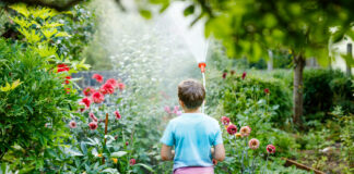 Glückliches Kind hilft im Familiengarten, im Freien, Spaß beim Planschen.