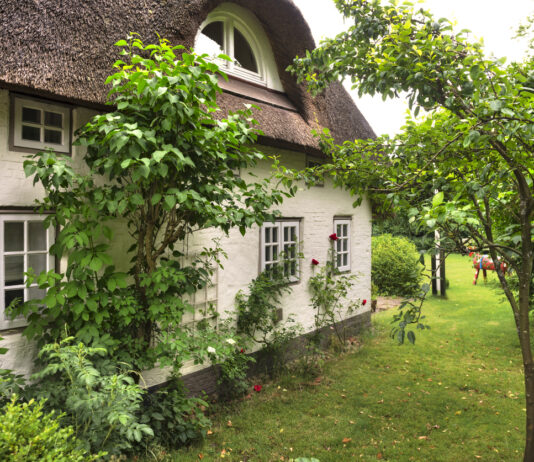 Ein Landhaus umgeben von grüner Natur.