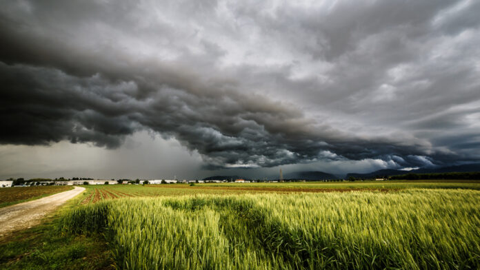 Ein Panorama-Bild von einem Feld mit dunklen Sturmwolken.
