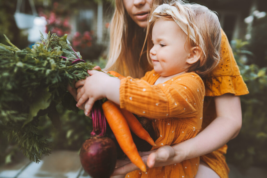 Kochen für Kleinkinder kann eine spannende Herausforderung sein, da es sowohl um die Bereitstellung nährstoffreicher Mahlzeiten als auch um die Einführung neuer Geschmacksrichtungen geht.