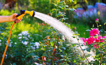 Eine Frau gießt Blumen im Garten.