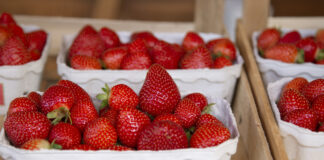 Kleine Körbe mit frischen Erdbeeren.