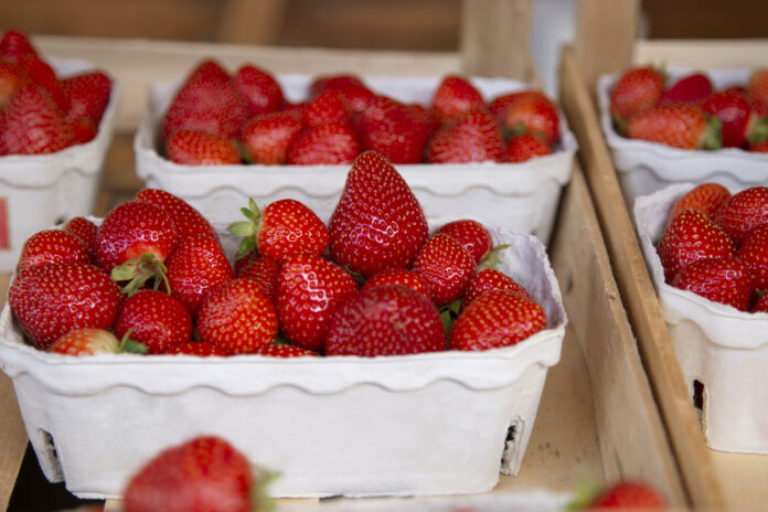 Kleine Körbe mit frischen Erdbeeren.