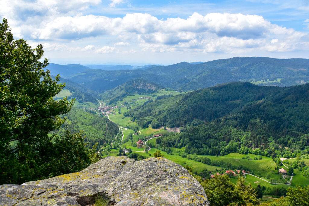 Wandern im Schwarzwald ermöglicht es, die einzigartige Flora und Fauna der Region hautnah zu erleben, während man auf gut ausgeschilderten Pfaden durch mystische Wälder und über sanfte Hügel streift.