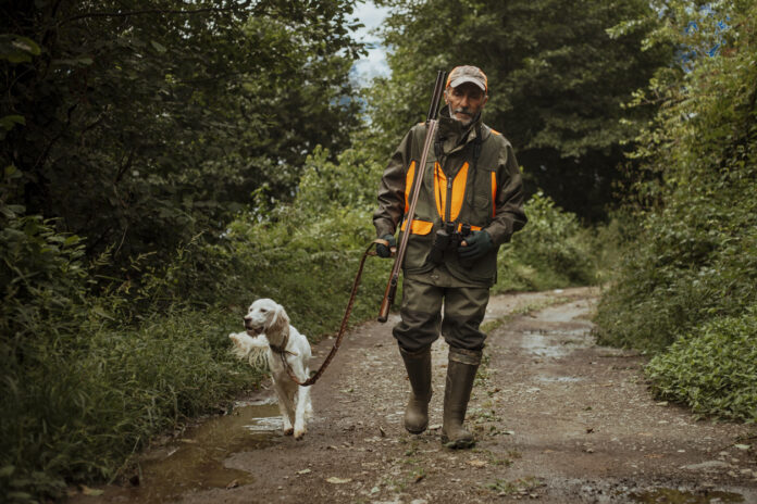 Ein Jäger ist mit einer Warnweste und seinem Hund unterwegs im Wald