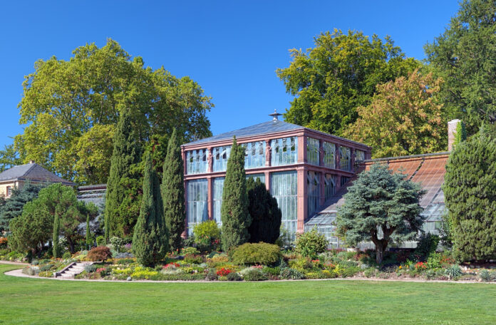 Der Botanische Garten Karlsruhe ist ein faszinierendes grünes Juwel, das eine Vielzahl von Pflanzenarten aus aller Welt beherbergt. Mit seinen historischen Gewächshäusern, malerischen Teichen und sorgfältig gepflegten Gärten bietet er Besuchern eine einzigartige Möglichkeit, die Vielfalt und Schönheit der Pflanzenwelt zu entdecken.
