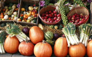 Herbstgemüse wie Kürbis, Rote Bete und Rosenkohl sind reich an Nährstoffen und bieten eine Vielfalt an Aromen und Texturen. Sie sind die perfekte Grundlage für herzhafte Eintöpfe, Aufläufe und andere wärmende Gerichte, die in der kühleren Jahreszeit besonders schmackhaft sind.